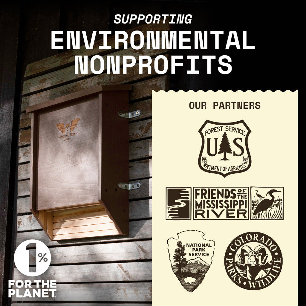 Big Bat Box -  2 chamber