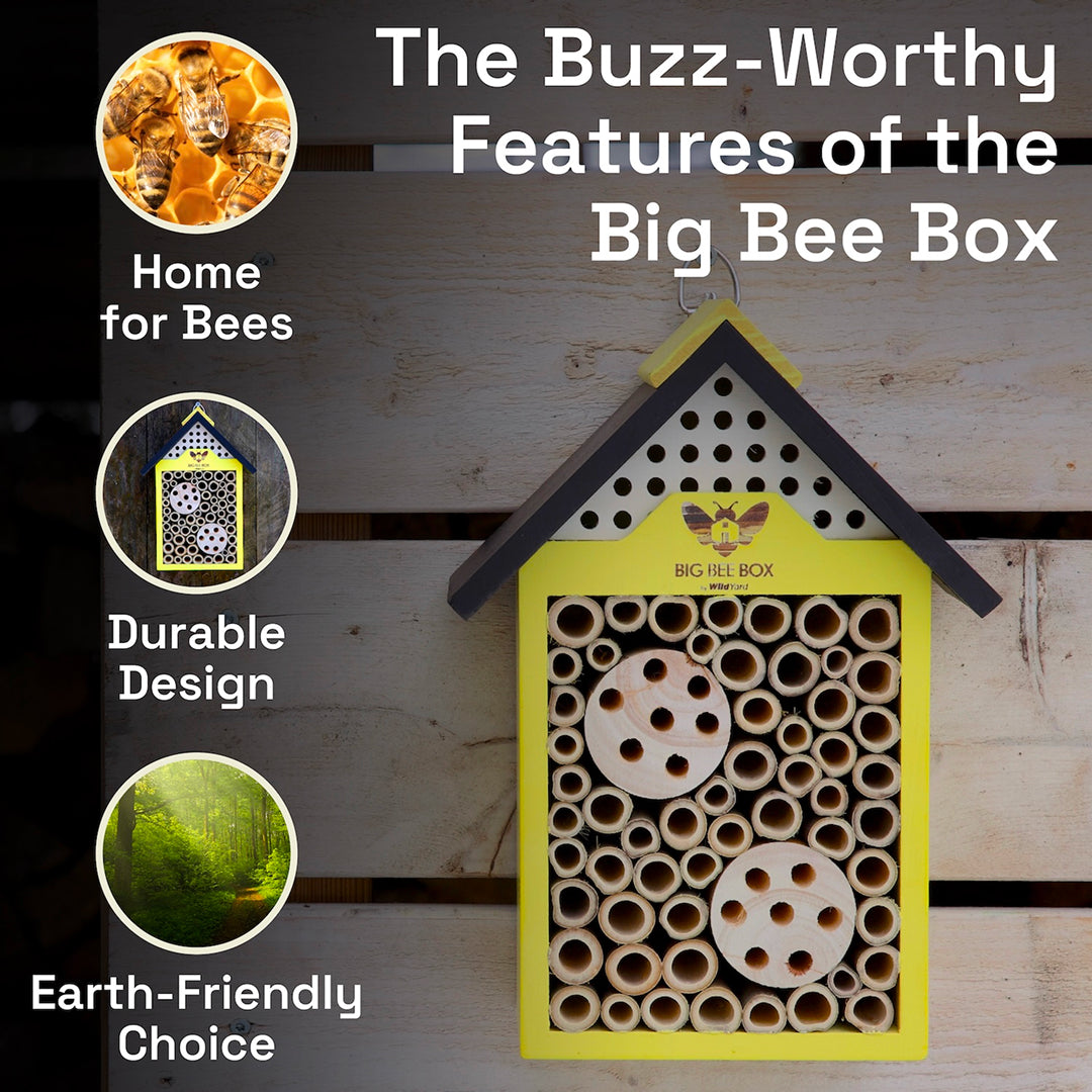 Wild Yard - Beehouse