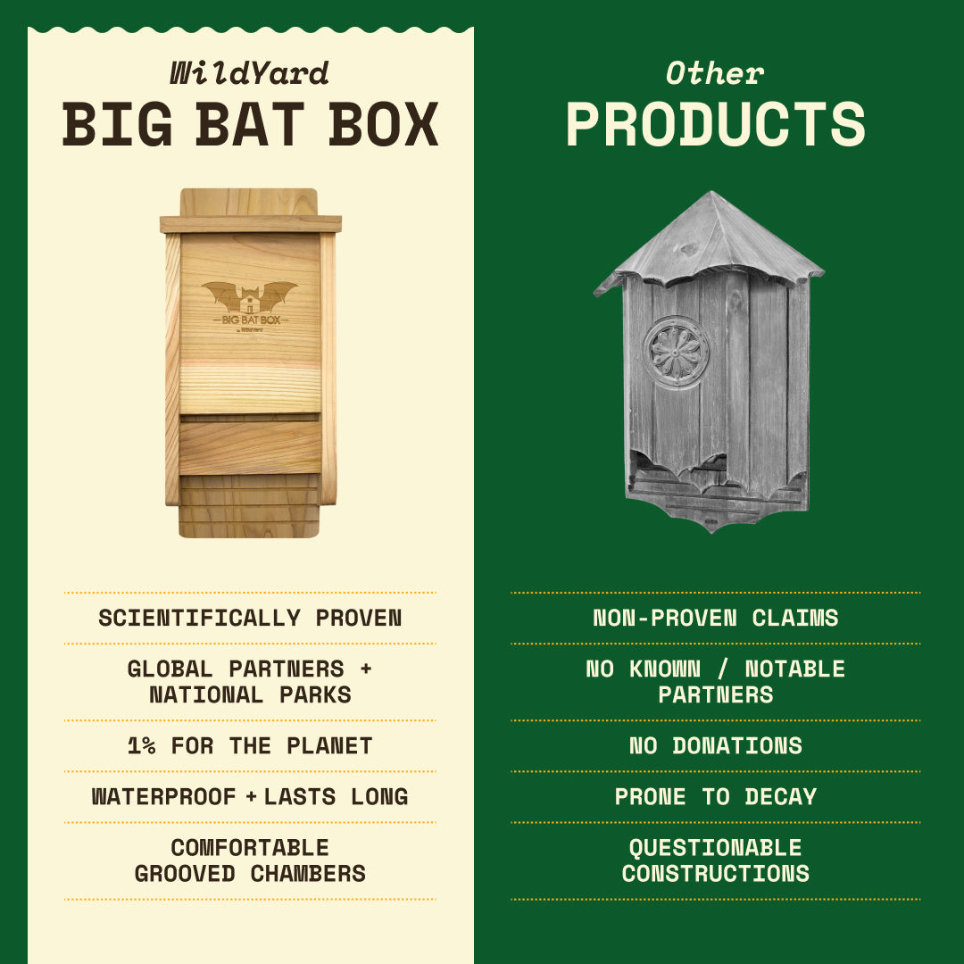 Big Bat Box -  1 chamber