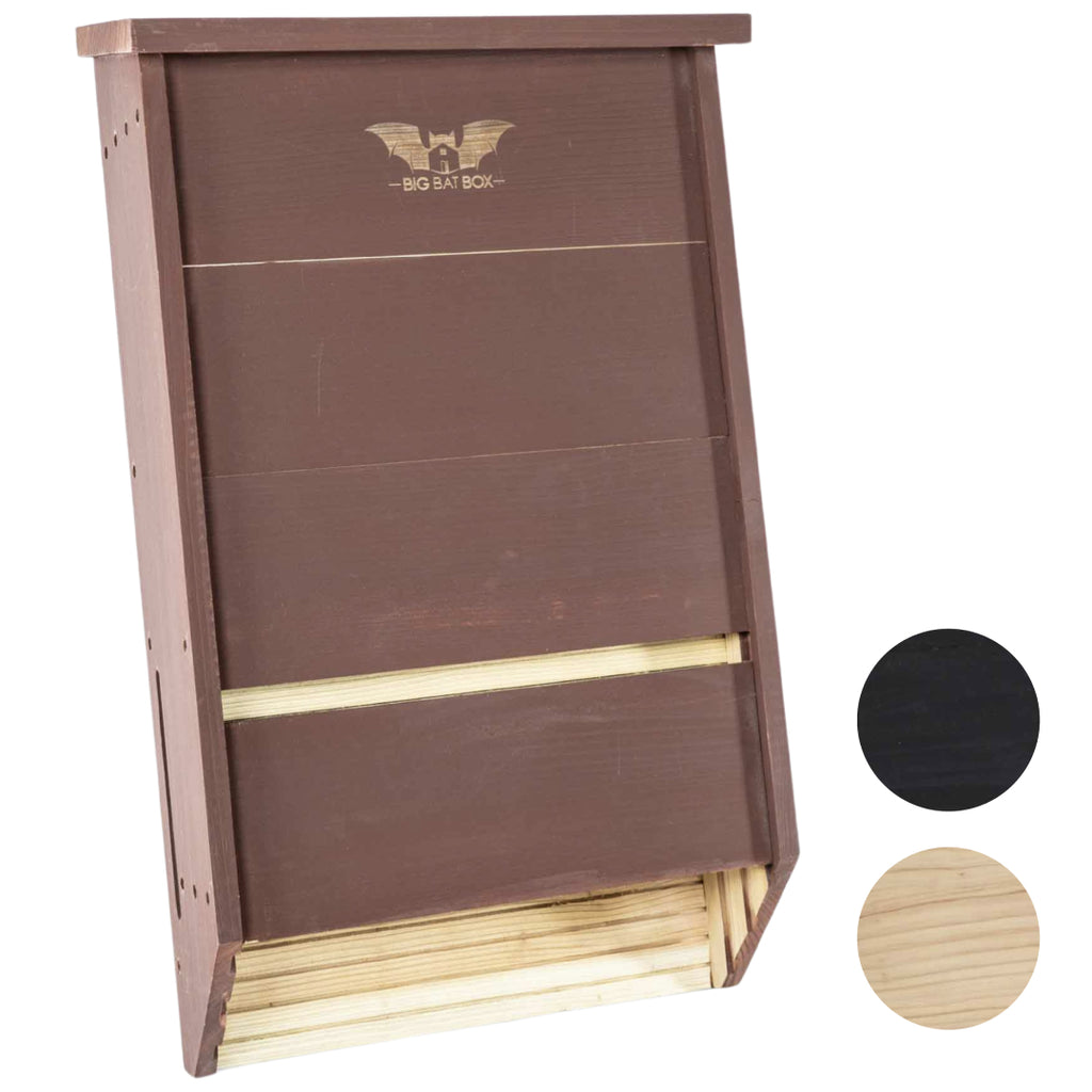 Big Bat Box -  3 chamber