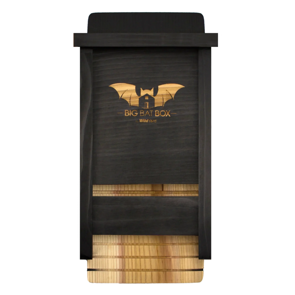 Single-Chamber Black Cedar Bat House – Holds Up to 50 Bats | Compact Natural Mosquito Control