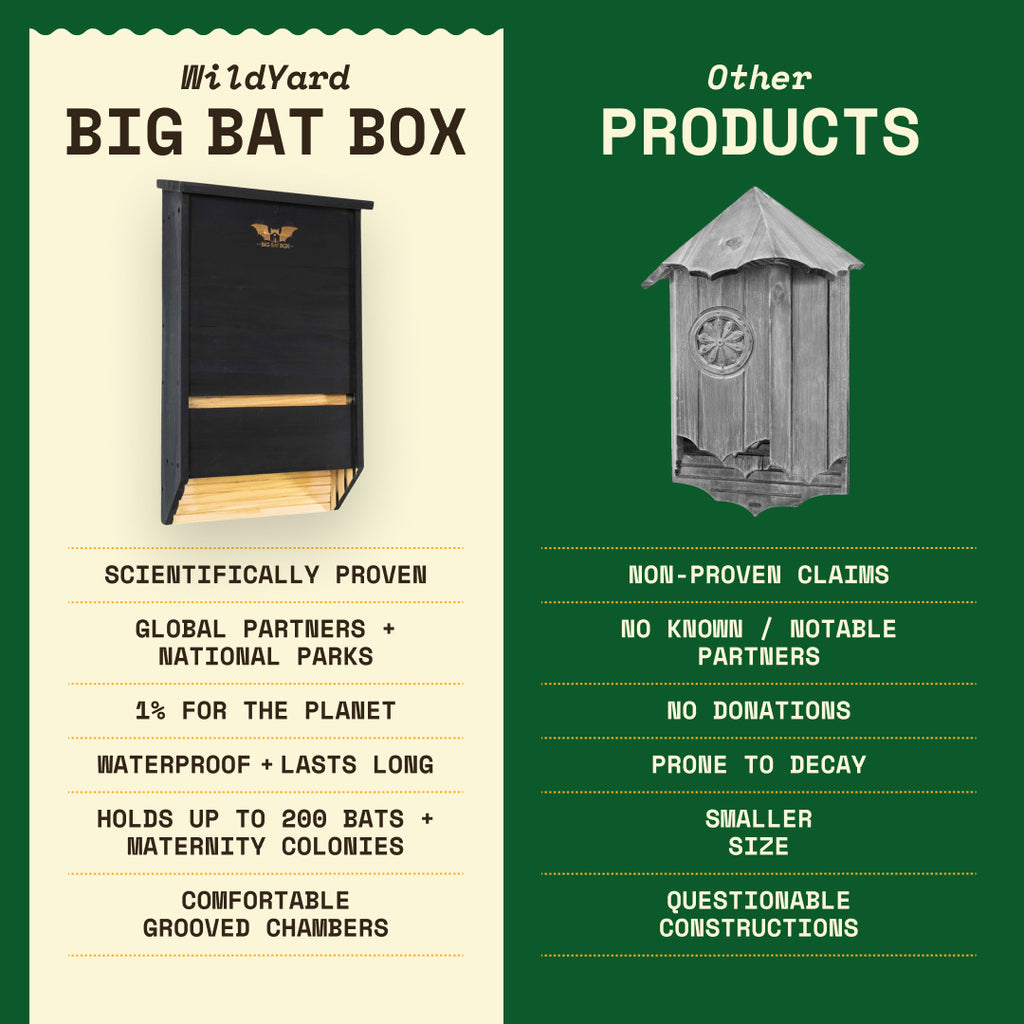 Big Bat Box -  3 chamber