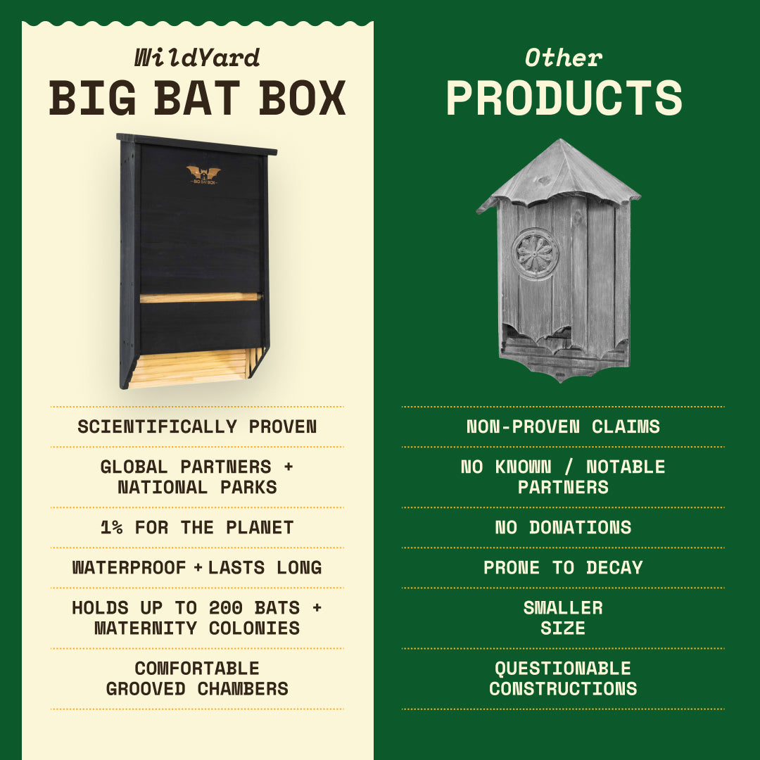 Big Bat Box -  3 chamber
