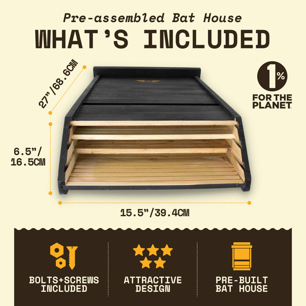 Big Bat Box -  3 chamber