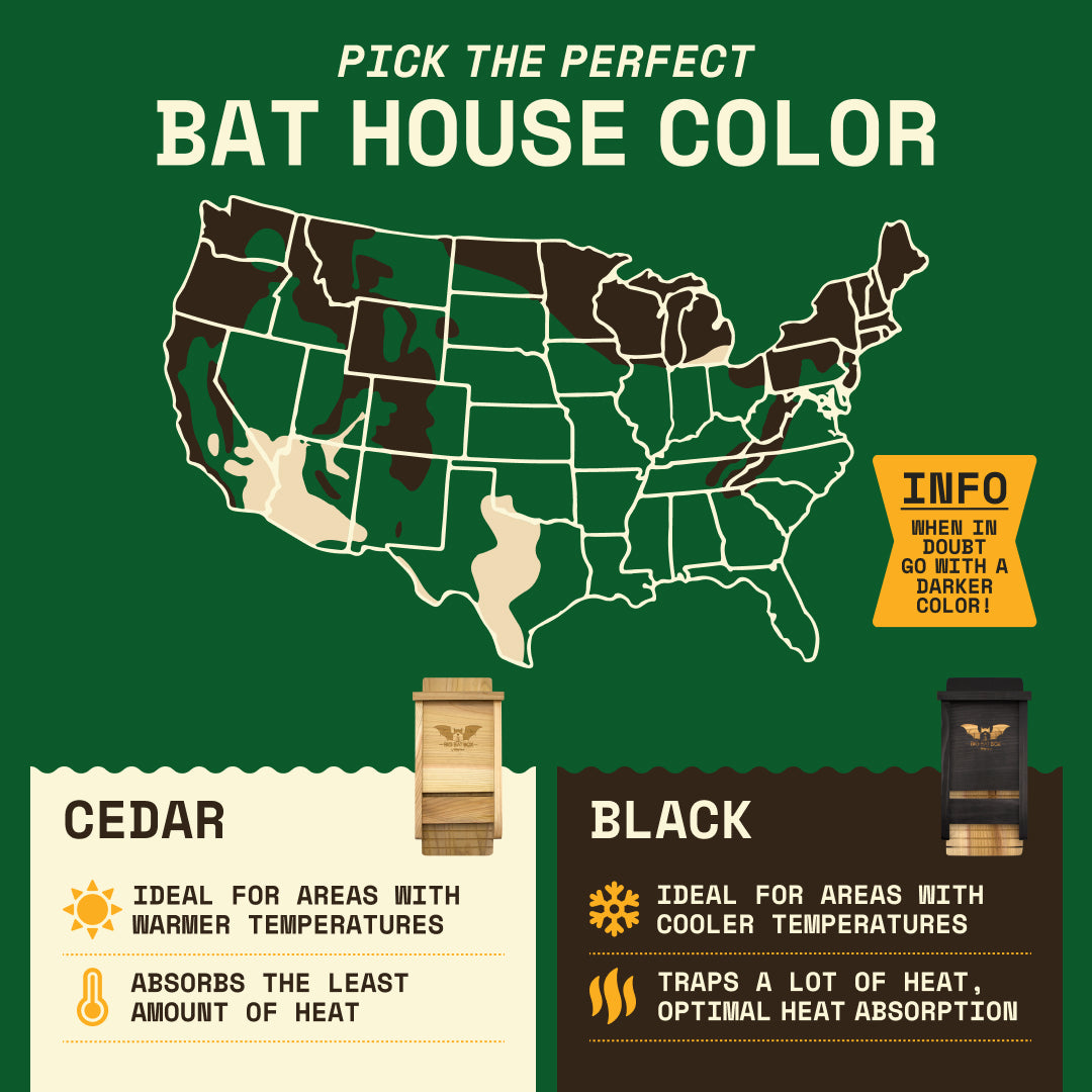 Big Bat Box -  1 chamber
