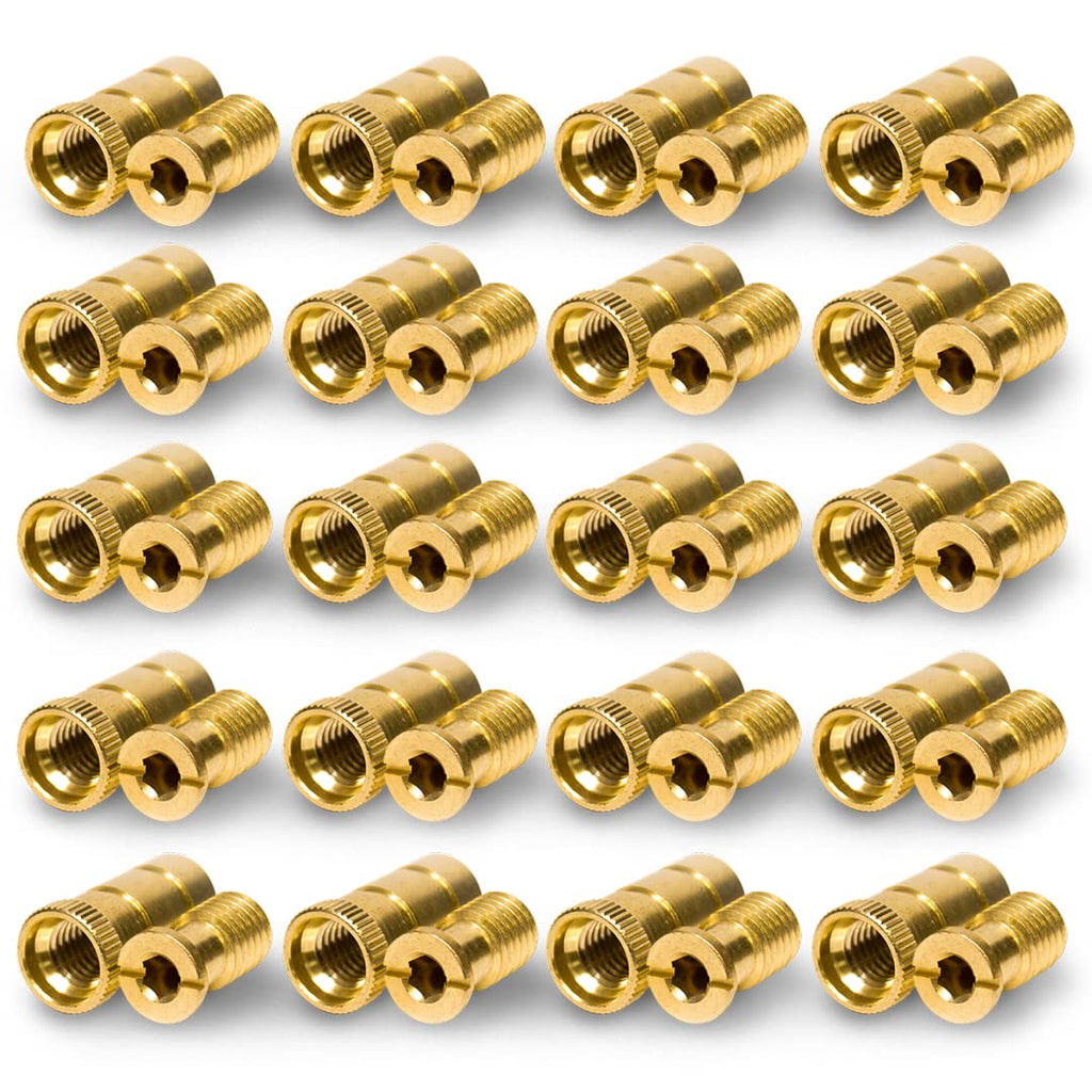 Silginnes Pool Cover Anchors 20 Pack