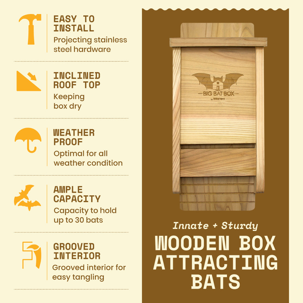 Big Bat Box -  1 chamber