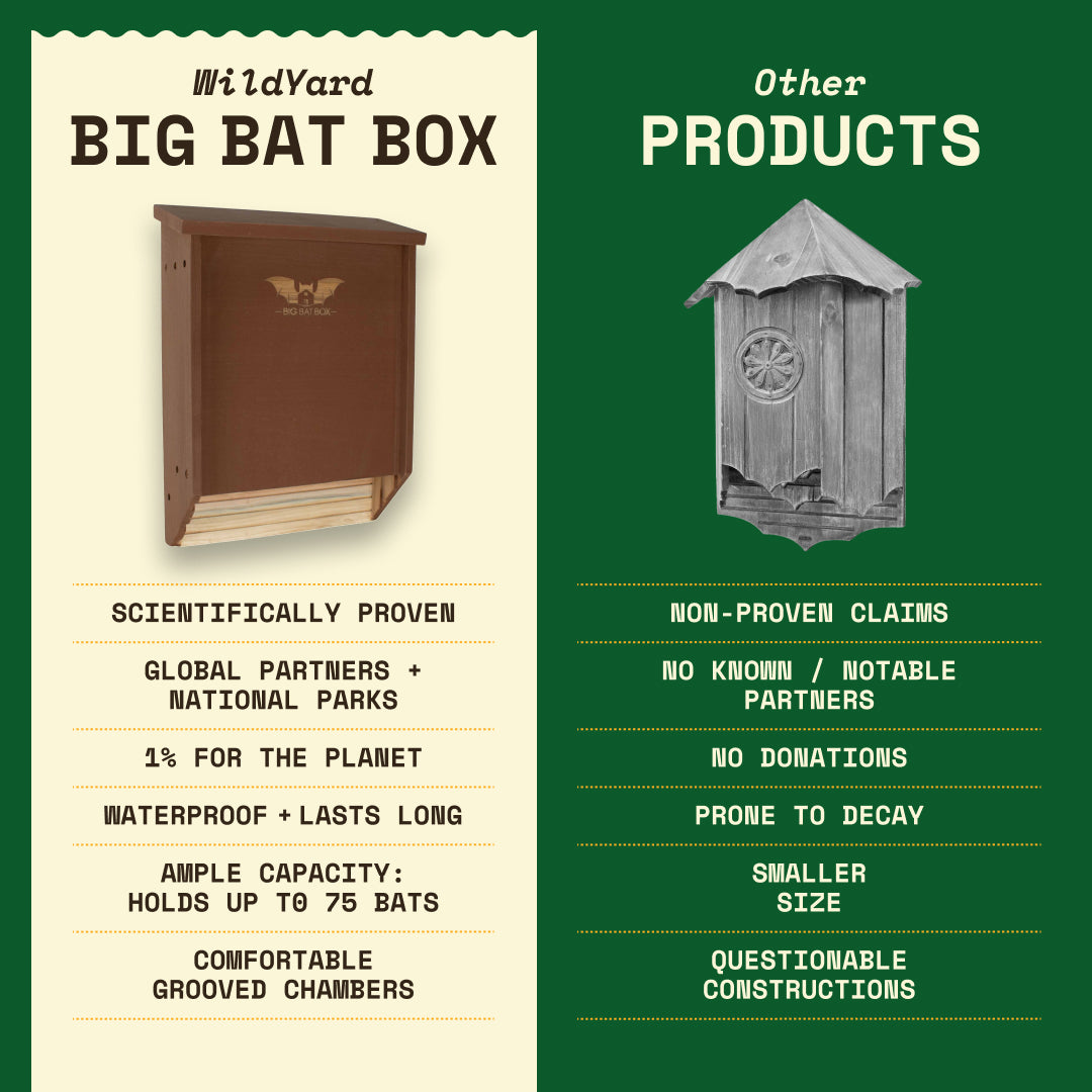 Big Bat Box -  2 chamber