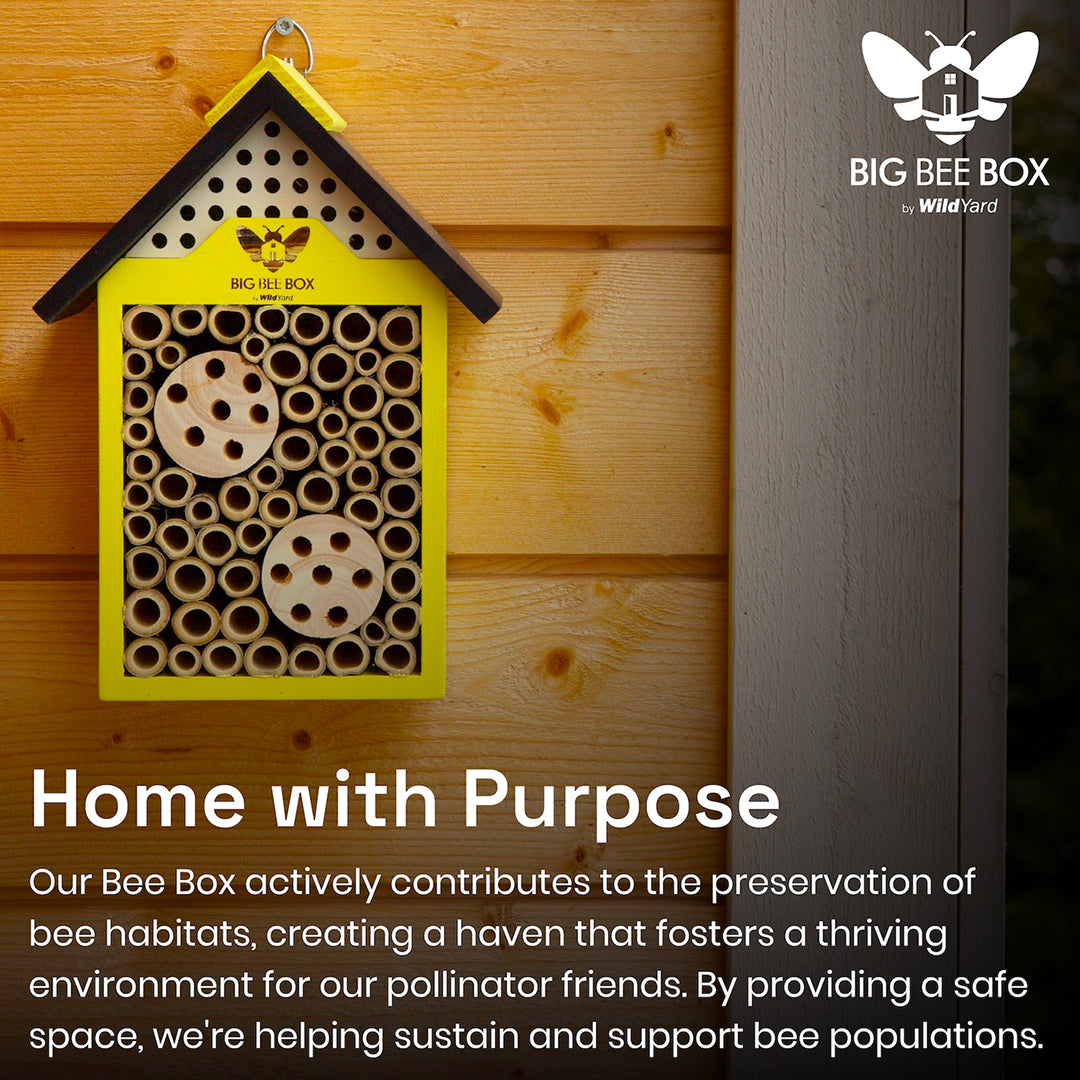 Wild Yard - Beehouse