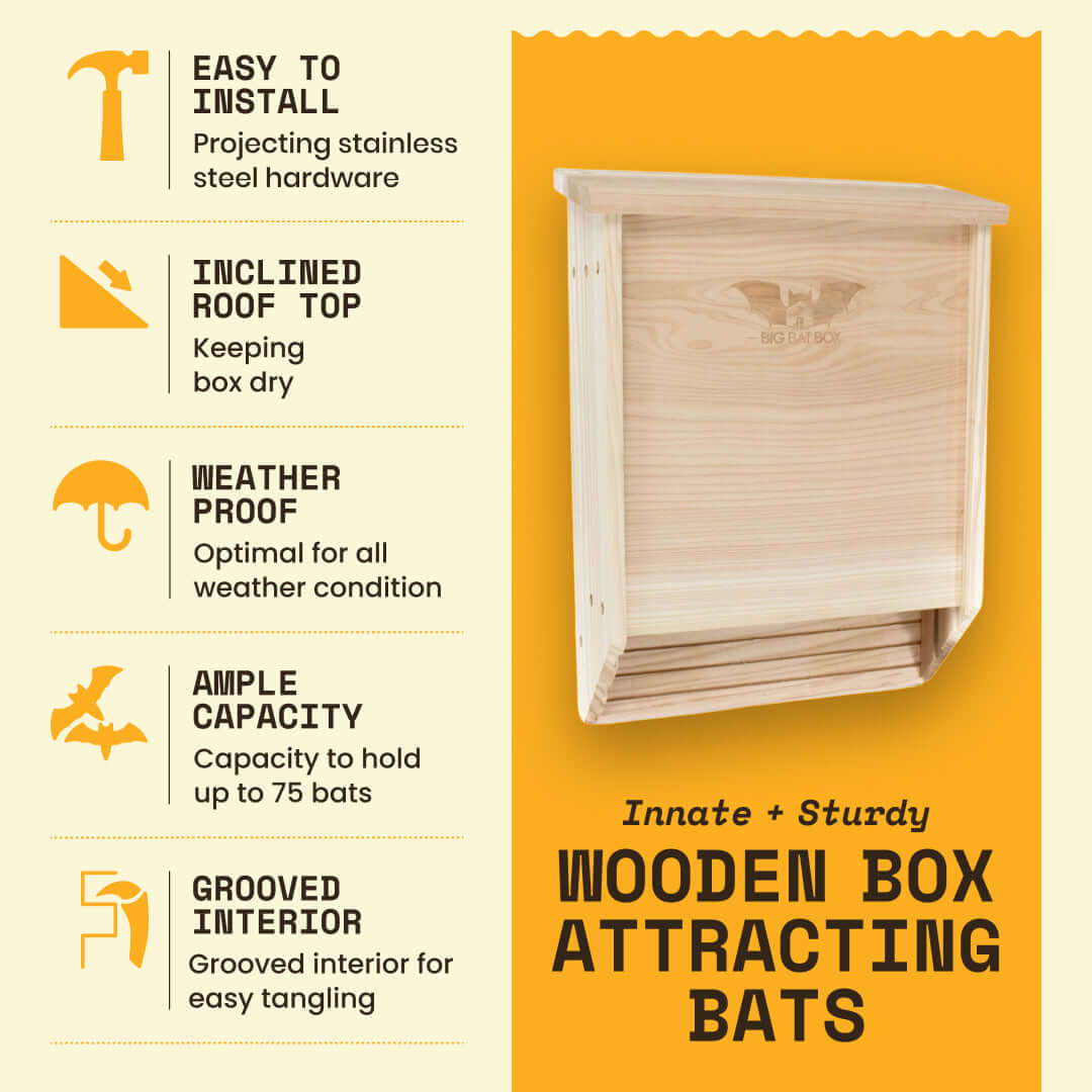 2-Chamber Cedar Bat House – Holds Up to 75 Bats | Natural Mosquito Control | Ideal for Hot Climates