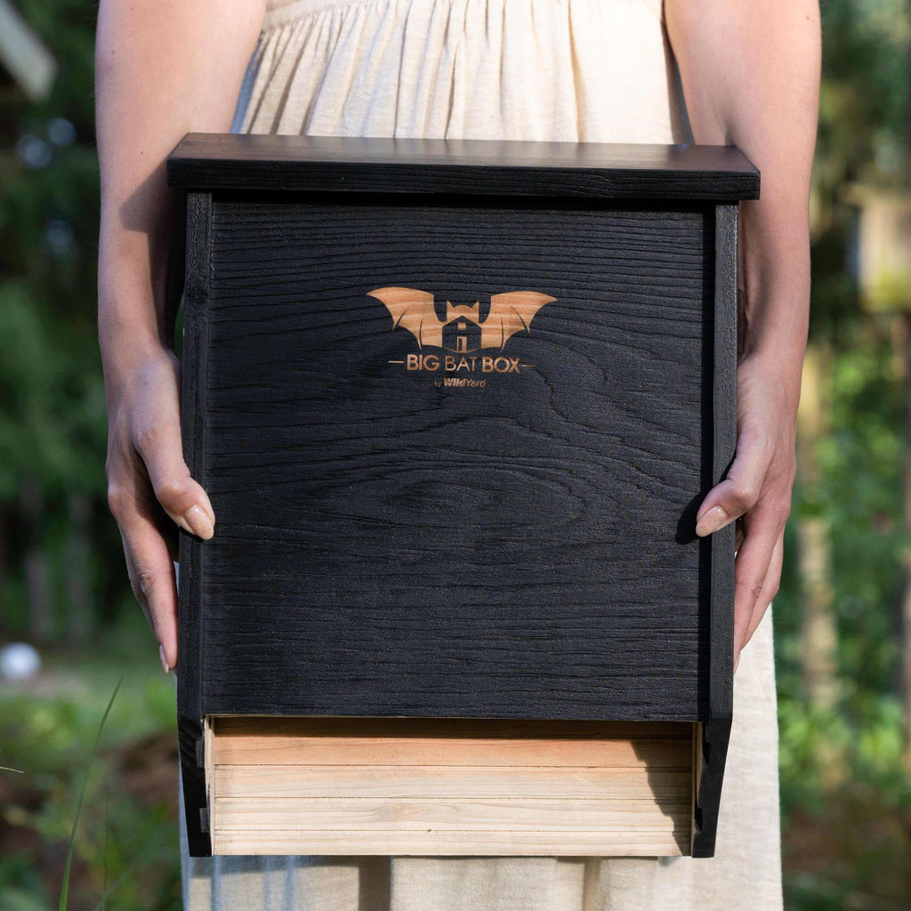 2-Chamber Black Cedar Bat House – Holds Up to 75 Bats | Natural Mosquito Control | Cool Climate Design