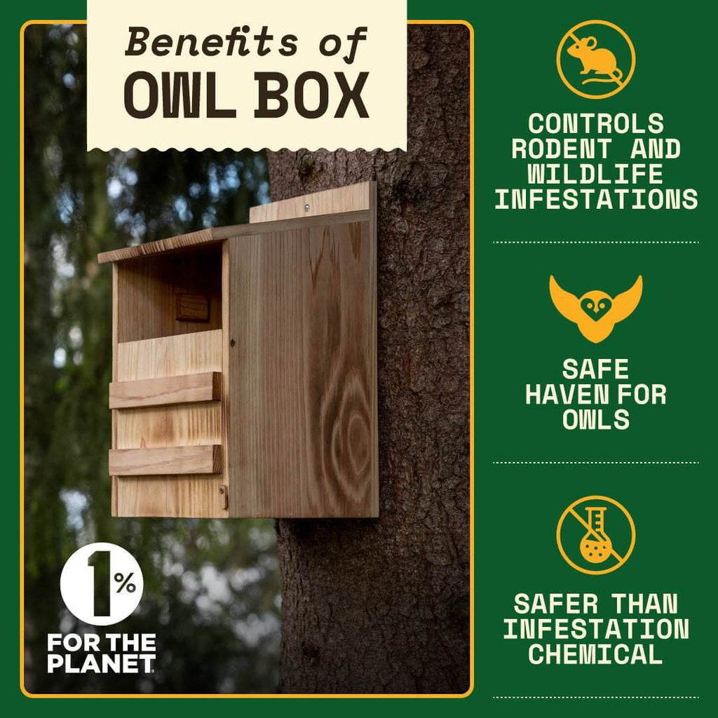 Wooden Owl Nesting Box – Safe Shelter for Screech, Saw-Whet & Boreal Owls | Natural Rodent Control
