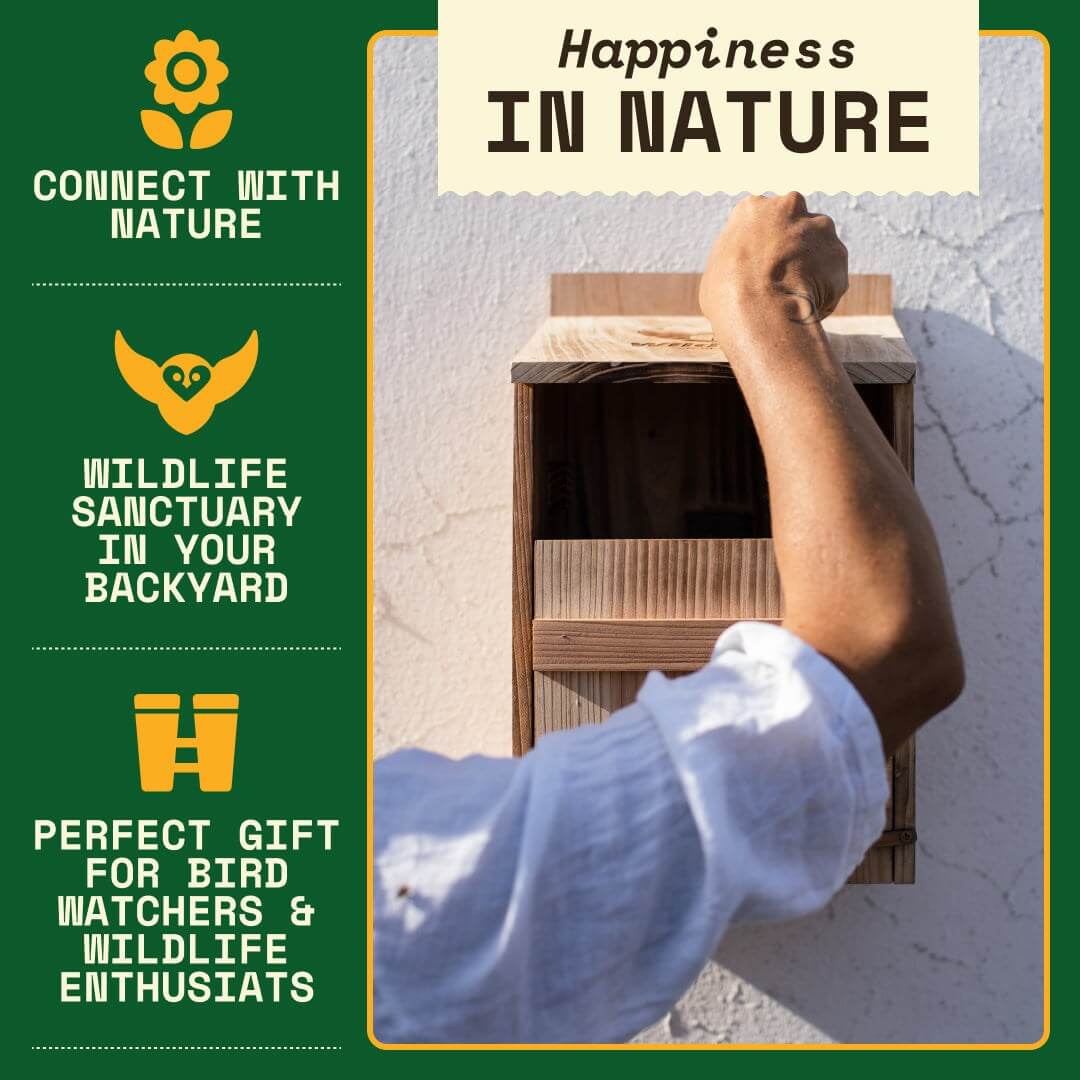 Wooden Owl Nesting Box – Safe Shelter for Screech, Saw-Whet & Boreal Owls | Natural Rodent Control