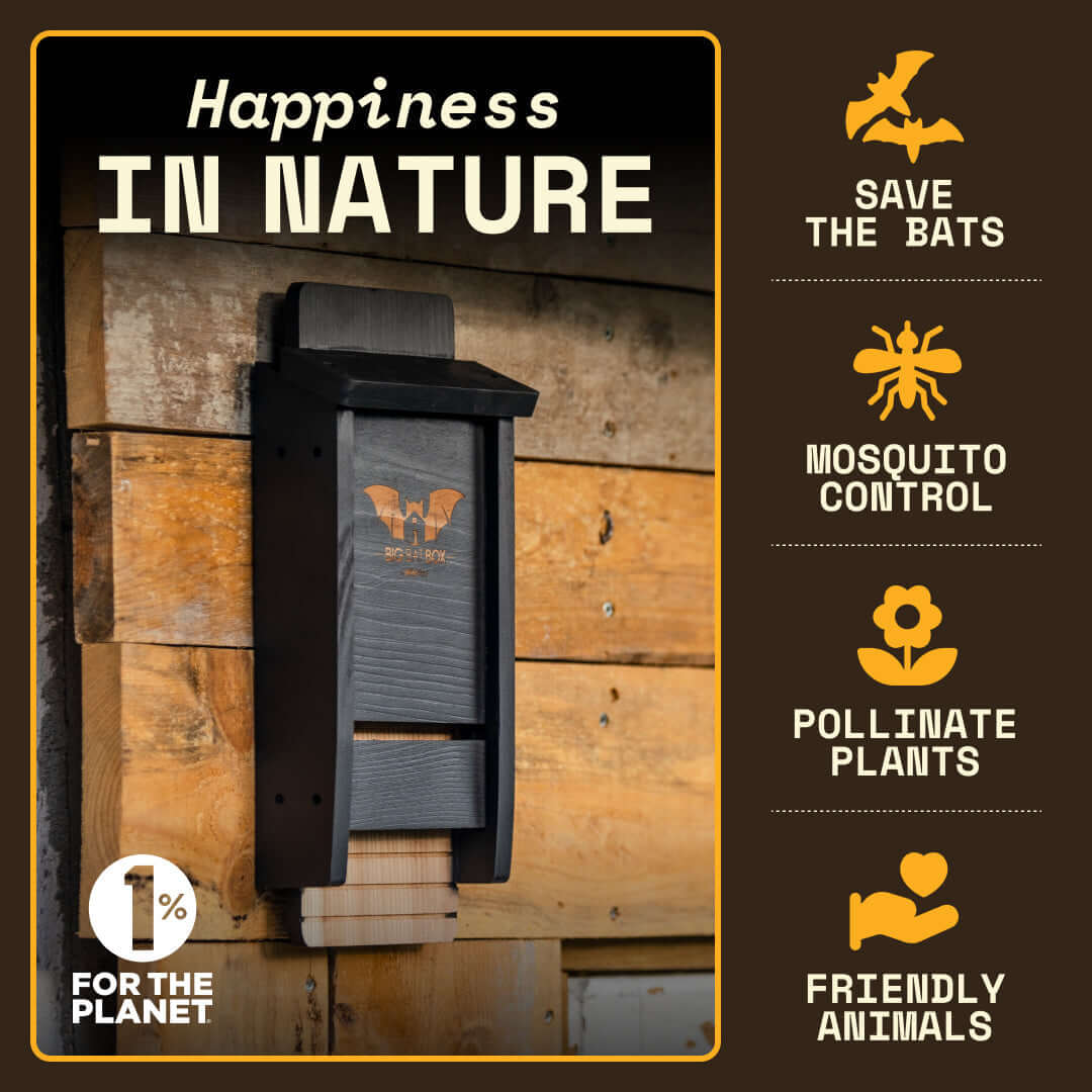 Single-Chamber Black Cedar Bat House – Holds Up to 50 Bats | Compact Natural Mosquito Control