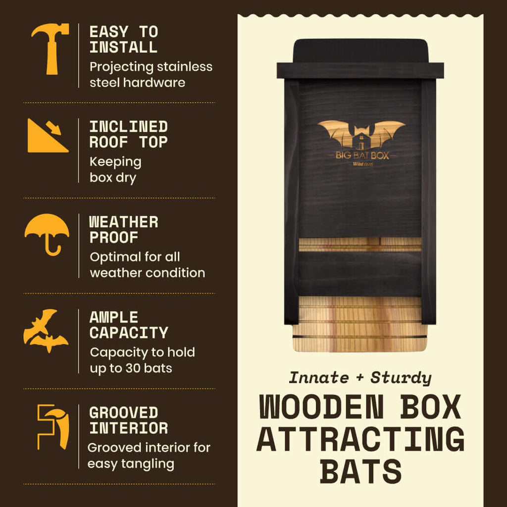 Single-Chamber Black Cedar Bat House – Holds Up to 50 Bats | Compact Natural Mosquito Control
