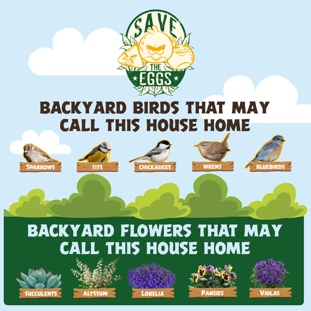Species guide for the WildYard X Angry Birds™ Flowerpot Birdhouse
