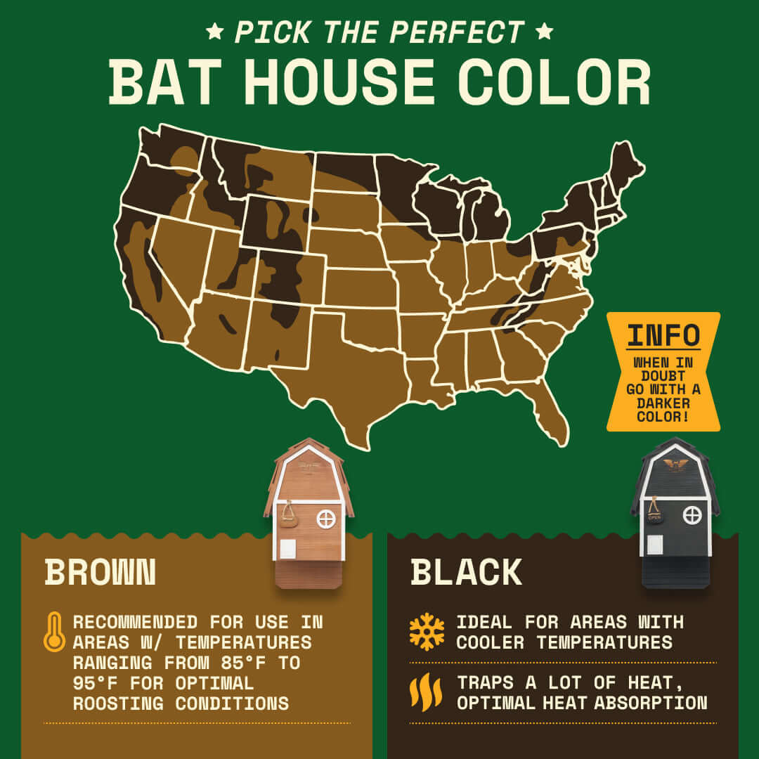 2-Chamber Brown Cedar Bat House – Holds 50+ Bats | Bat Barn Junior | Natural Mosquito Control