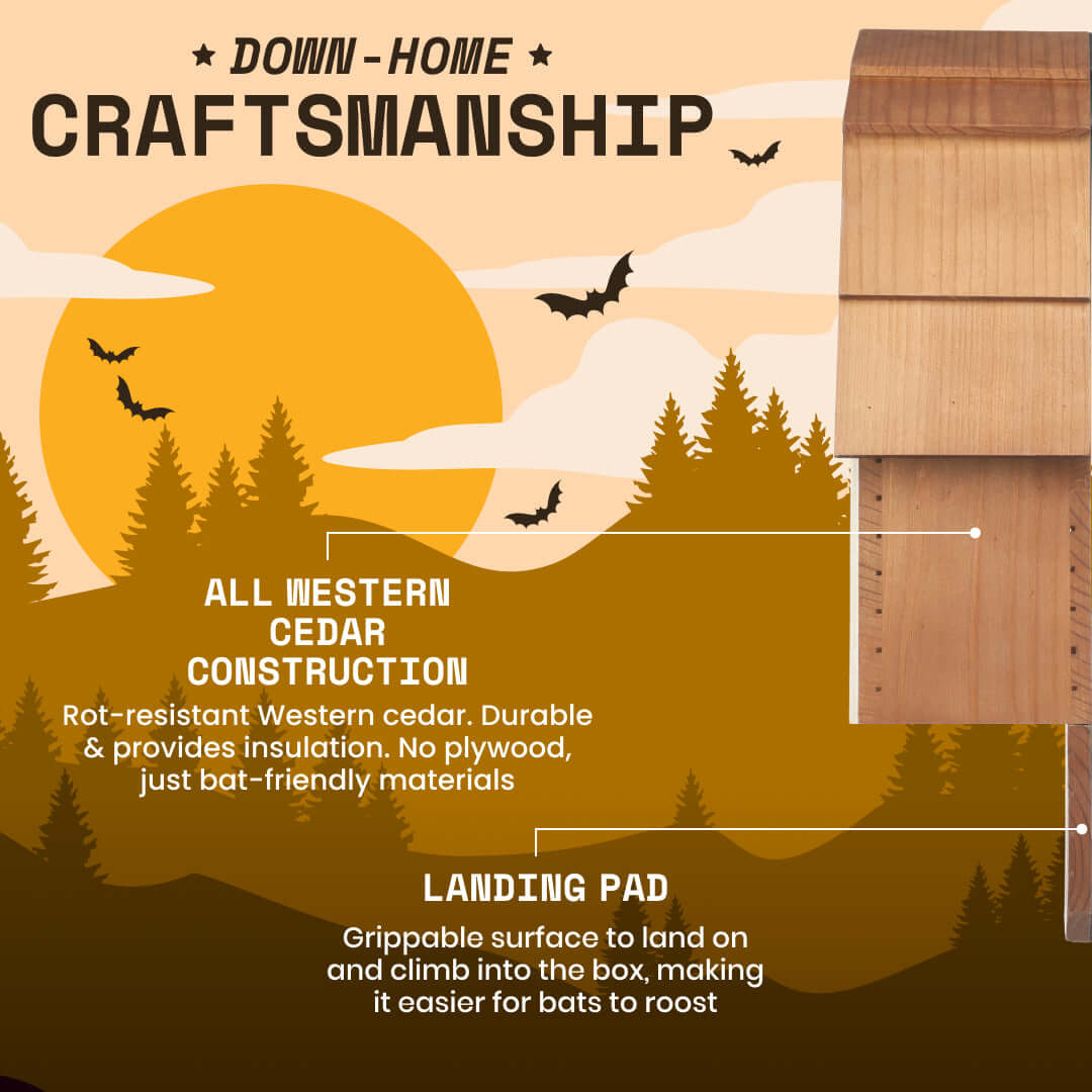 2-Chamber Brown Cedar Bat House – Holds 50+ Bats | Bat Barn Junior | Natural Mosquito Control