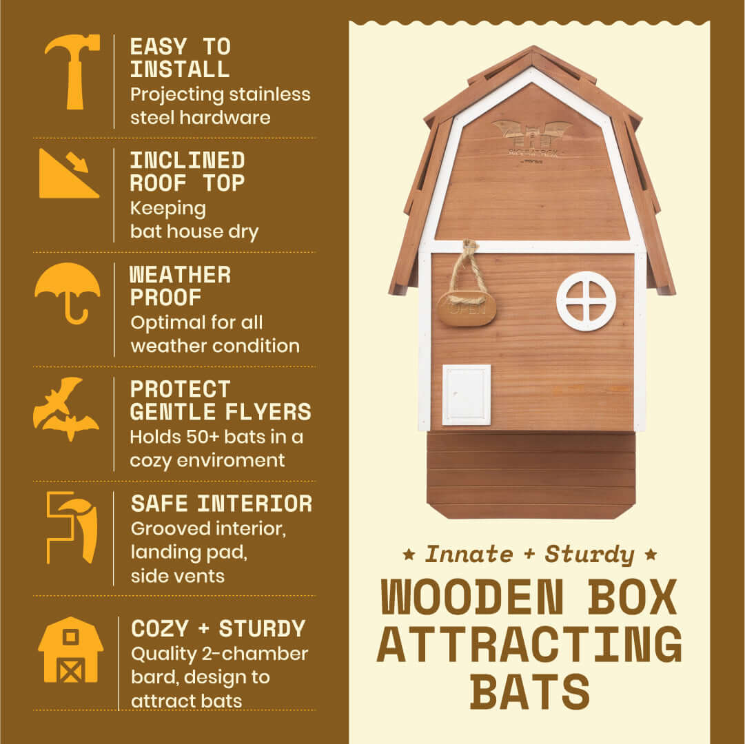 2-Chamber Brown Cedar Bat House – Holds 50+ Bats | Bat Barn Junior | Natural Mosquito Control