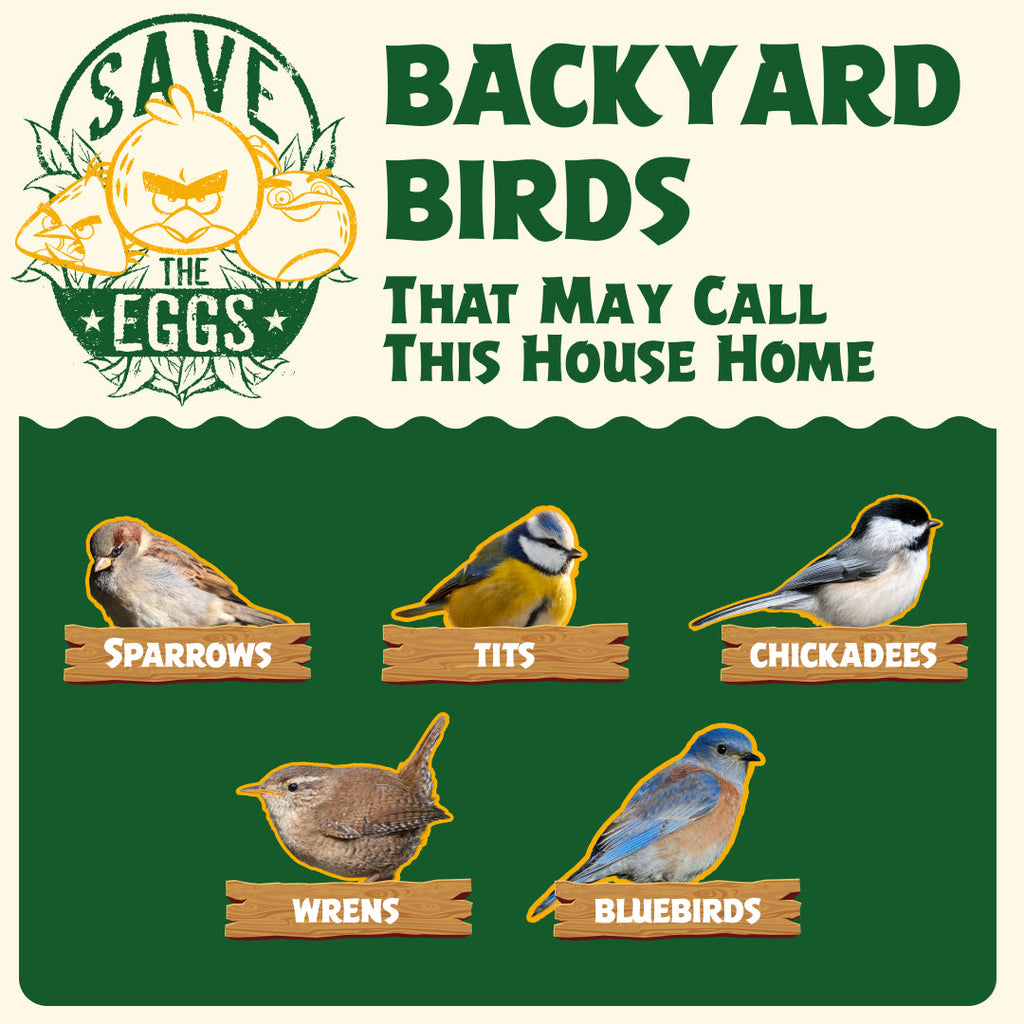 Backyard birds that may nest in the WildYard X Angry Birds™ DIY Birdhouse