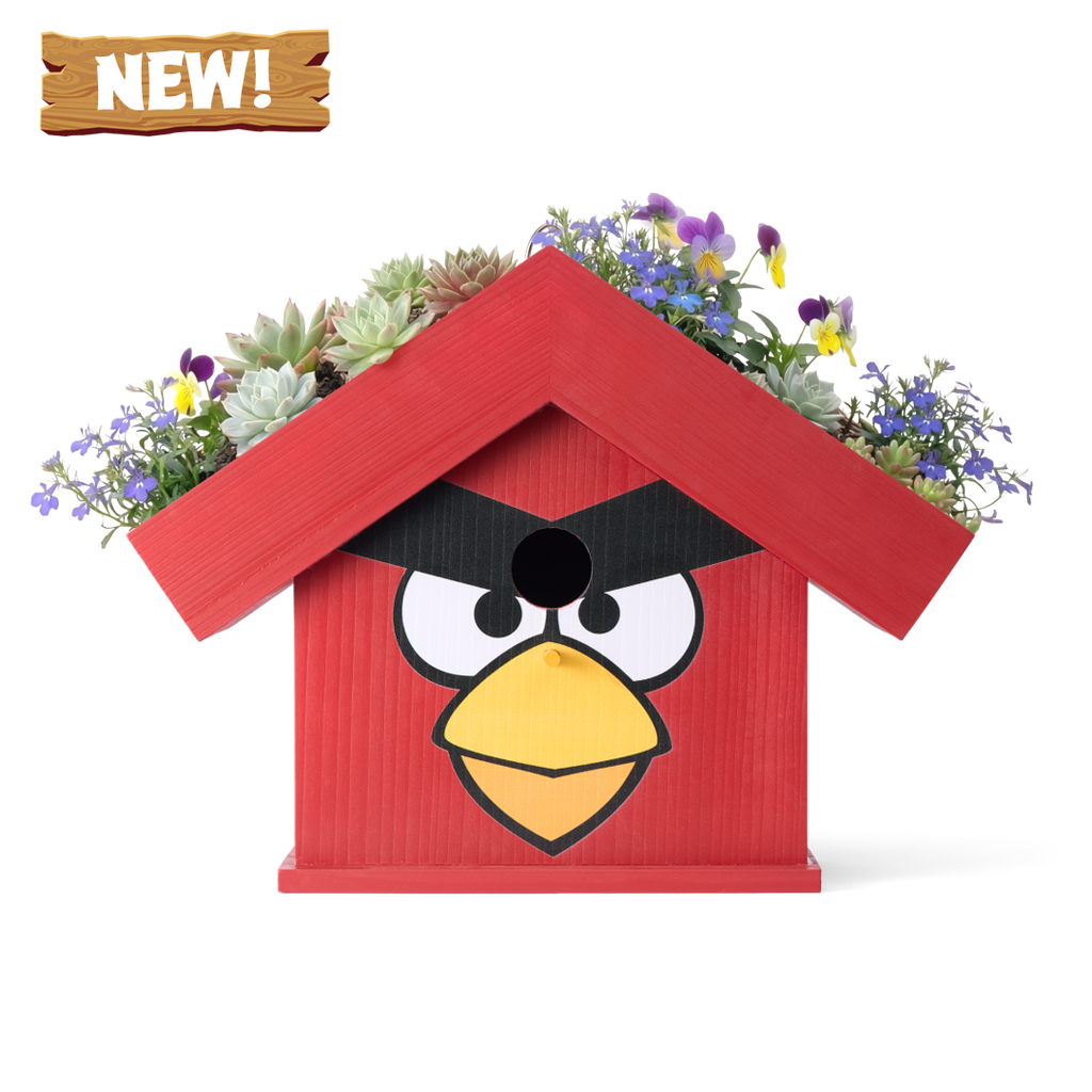 WildYard X Angry Birds™ Flowerpot Birdhouse — Red bird-shaped cedar birdhouse with wildflowers and succulents on the rooftop planter