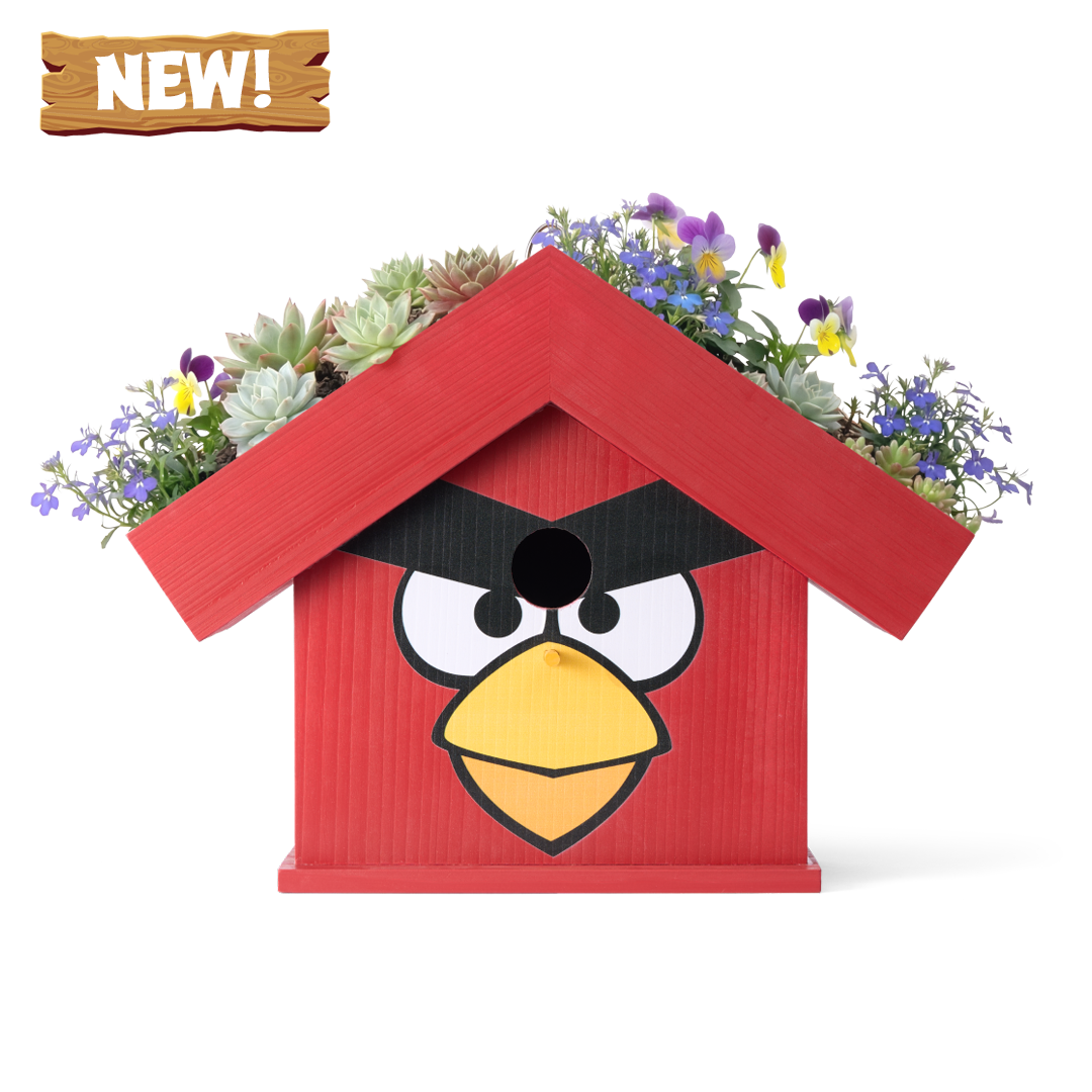 WildYard X Angry Birds™ Flowerpot Birdhouse — Red bird-shaped cedar birdhouse with wildflowers and succulents on the rooftop planter
