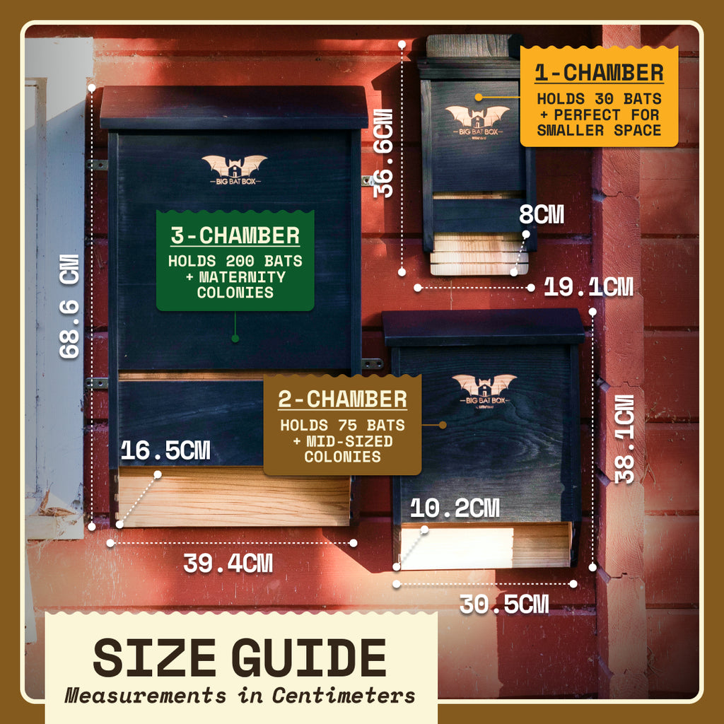 Big Bat Box -  1 chamber