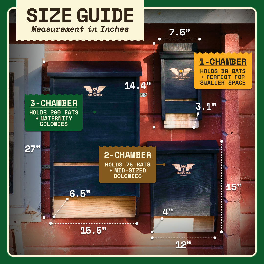Big Bat Box -  1 chamber
