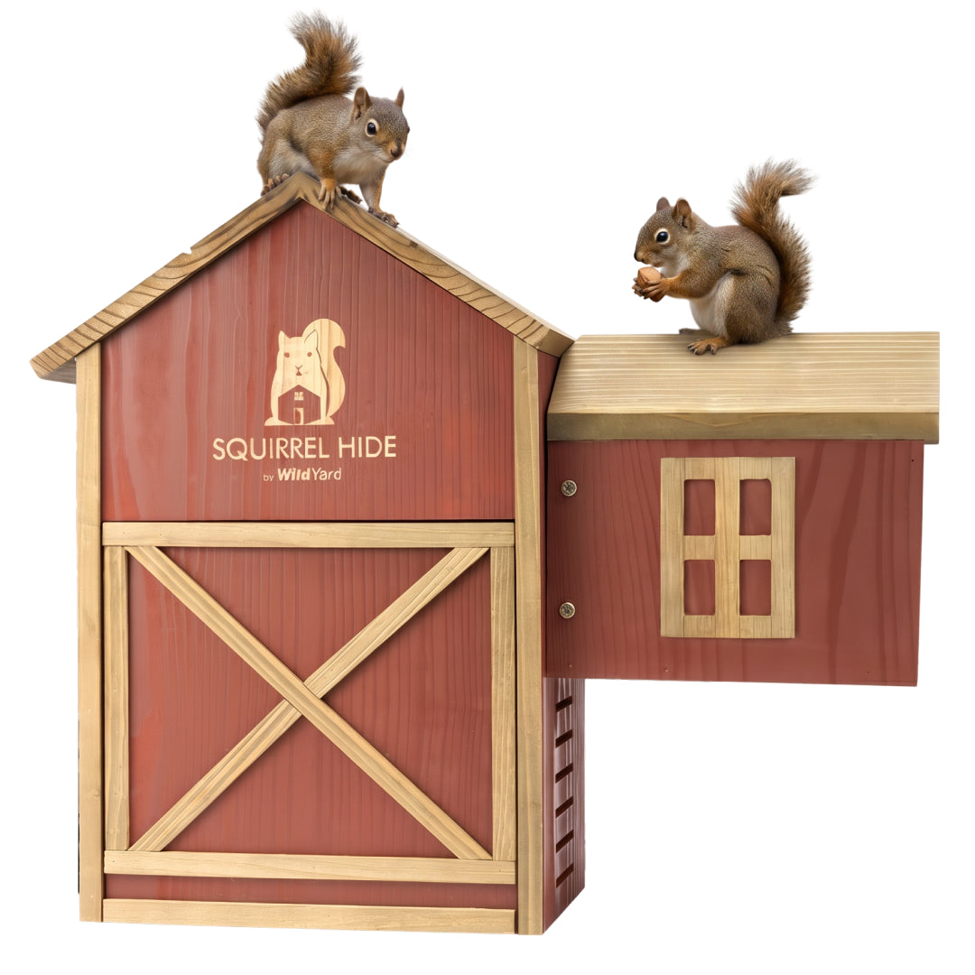 Wildyard - Squirrel House