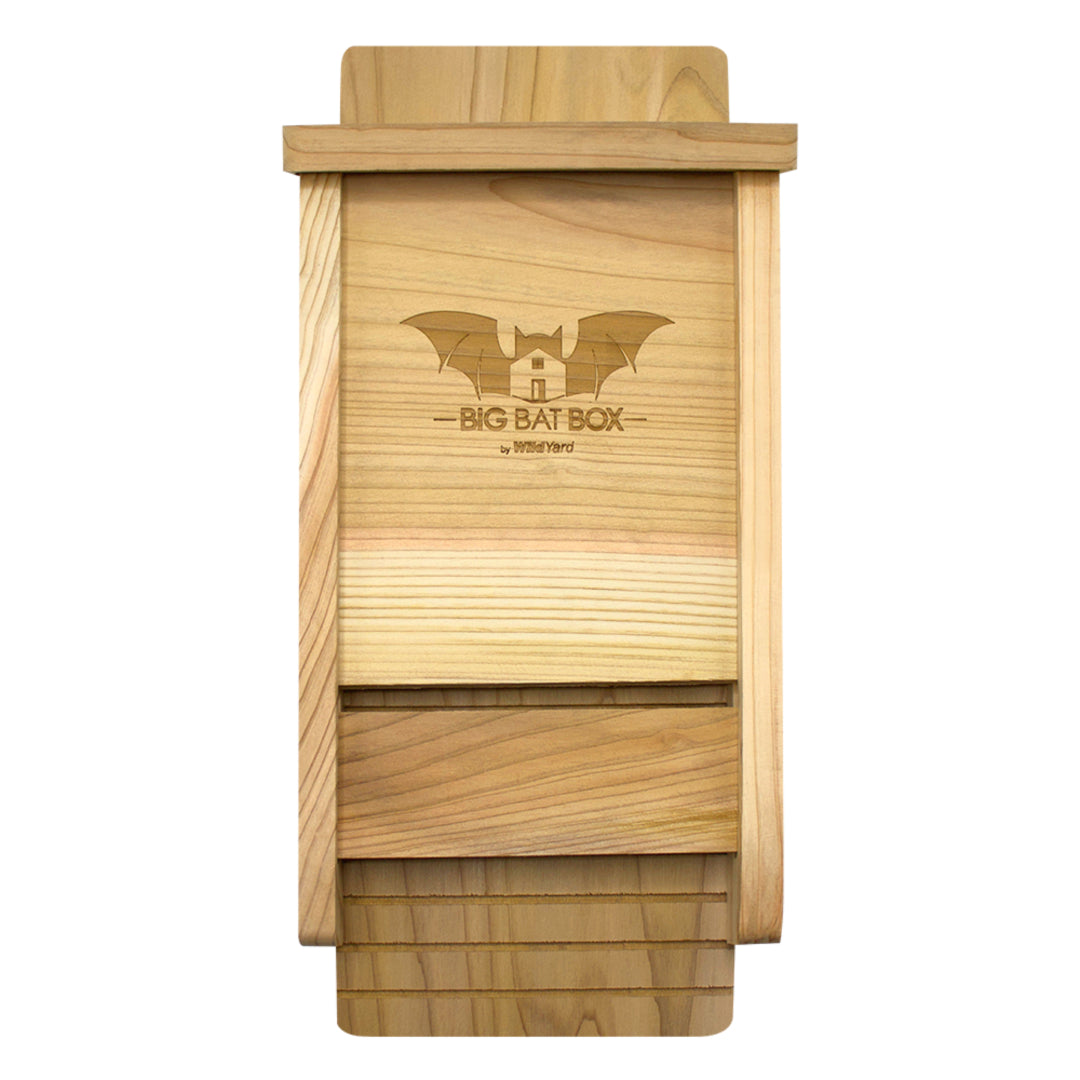 Big Bat Box -  1 chamber