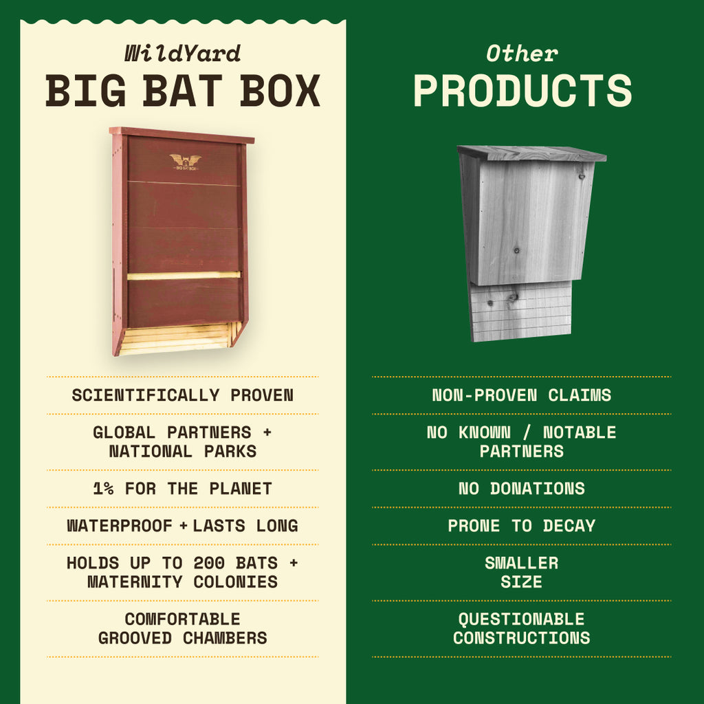 Big Bat Box -  3 chamber