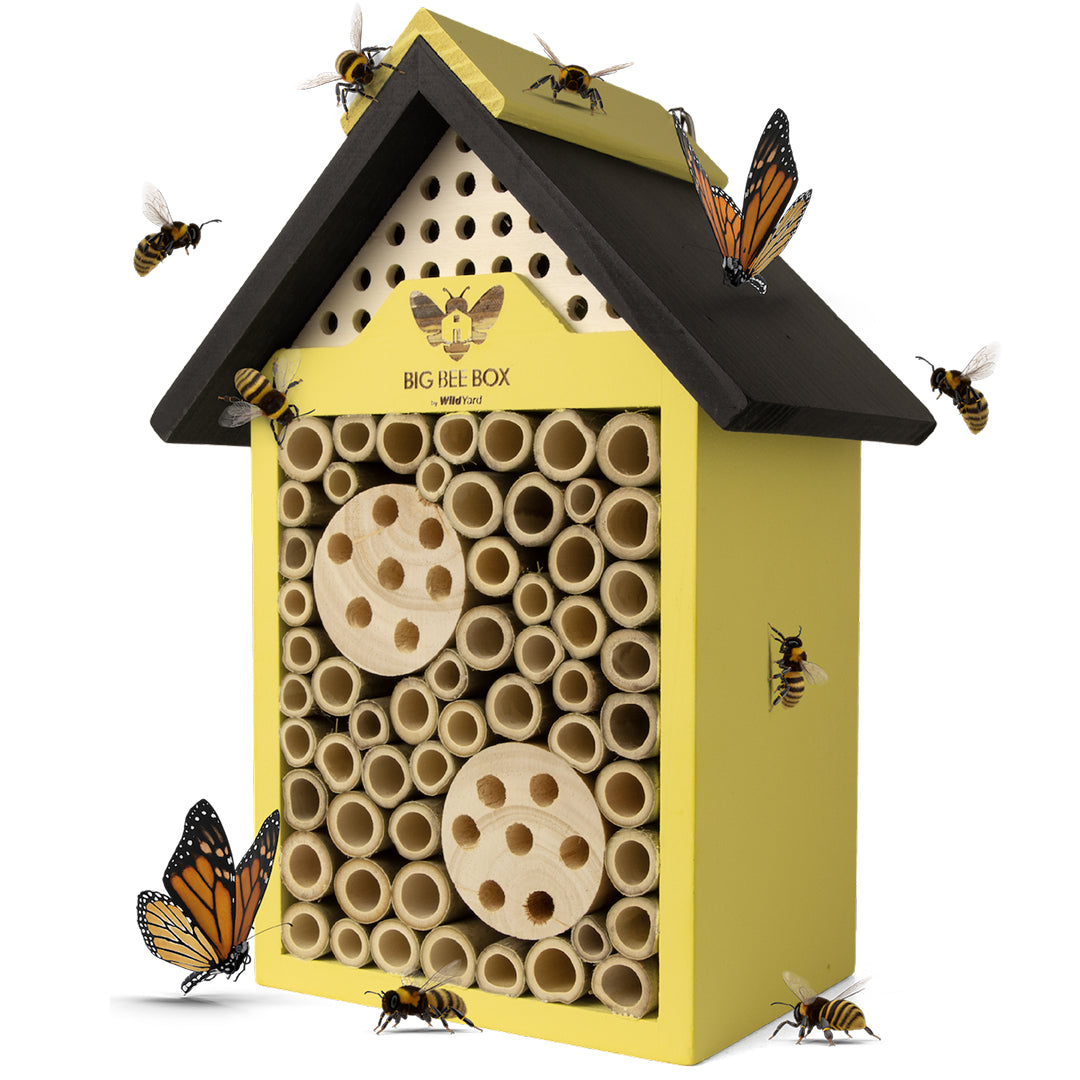 Wild Yard - Beehouse