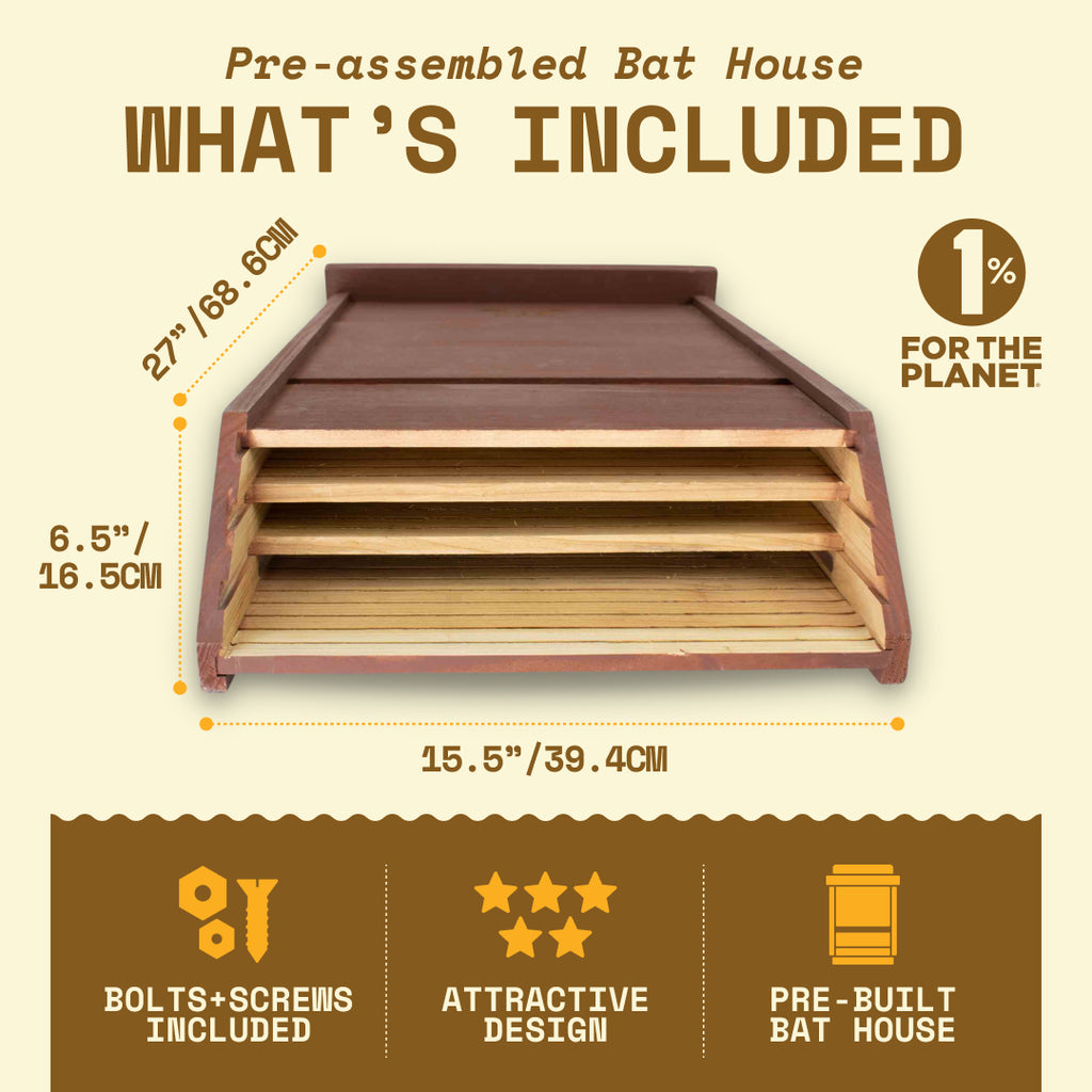 Big Bat Box -  3 chamber