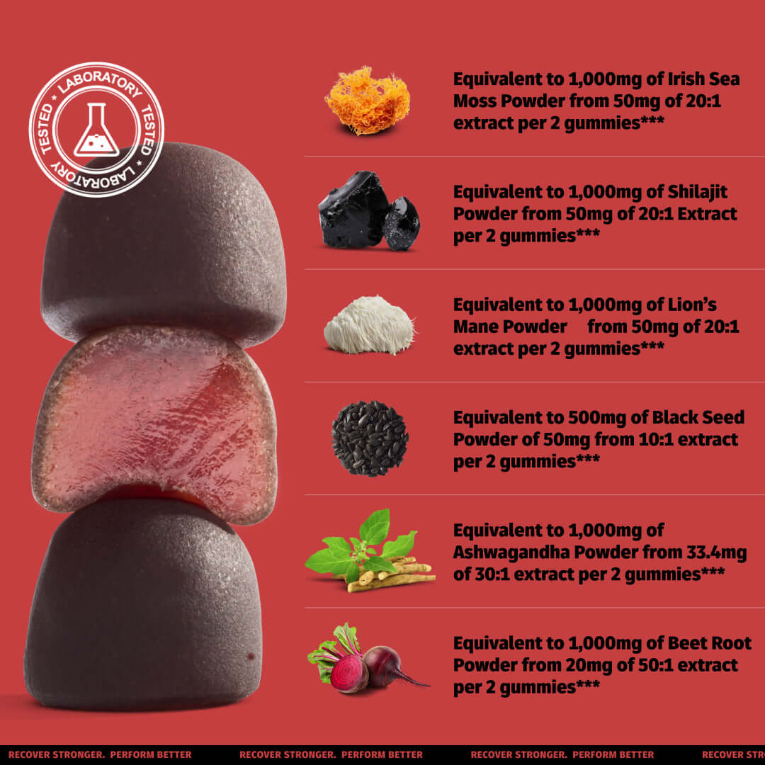 Coach Soak 6-in-1 Gummy Complex - Shilajit, Ashwagandha, Lions Mane, Sea Moss, Black Seed, Beet Root - 60ct - Raspberry Watermel