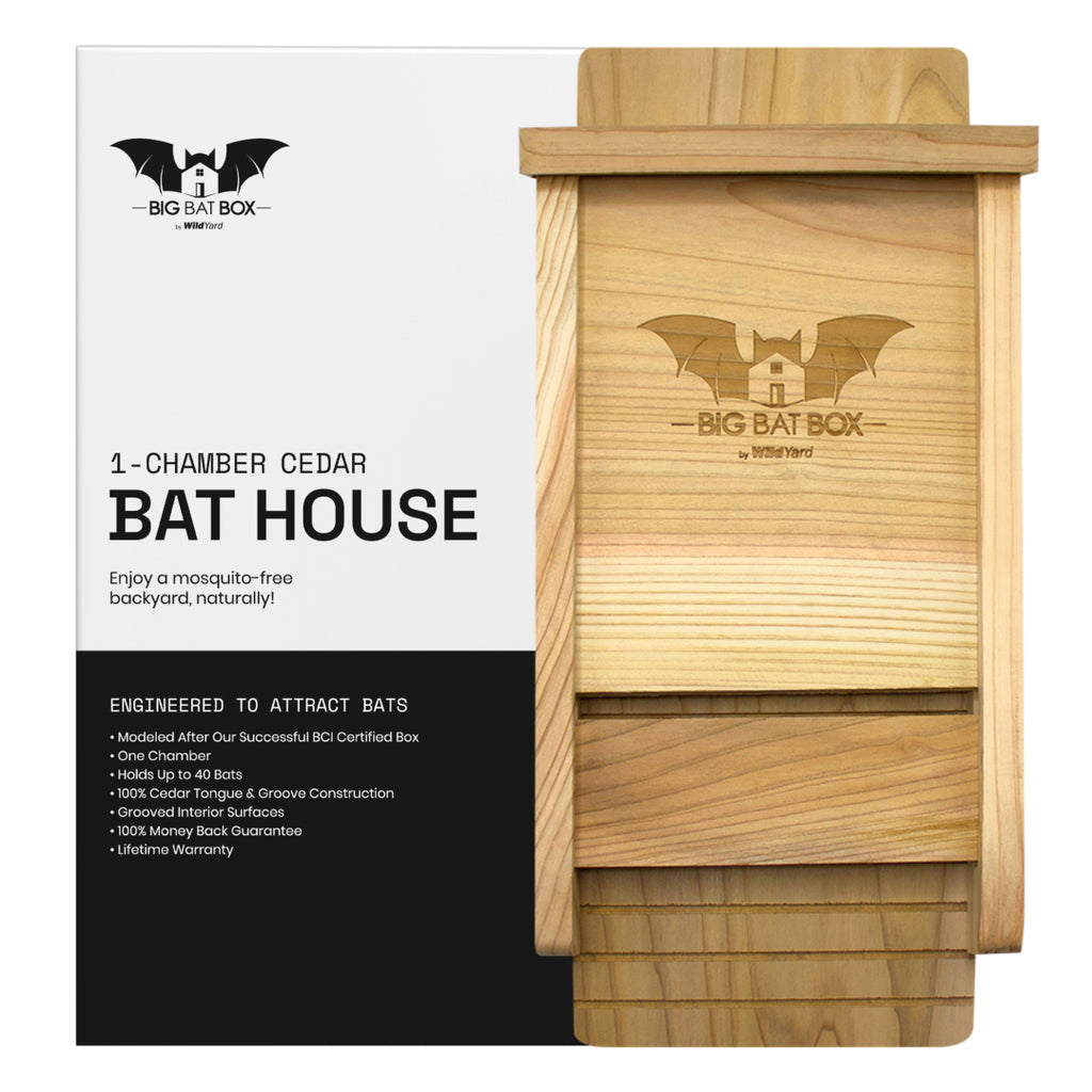 Big Bat Box -  1 chamber