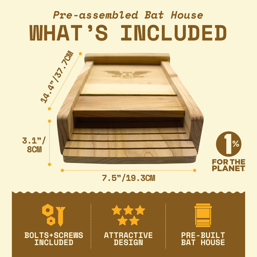 Big Bat Box -  1 chamber