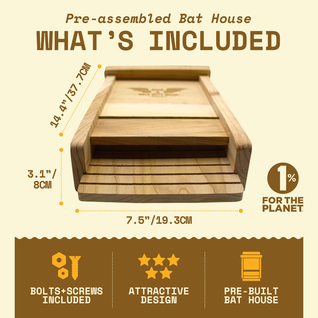 Big Bat Box -  1 chamber