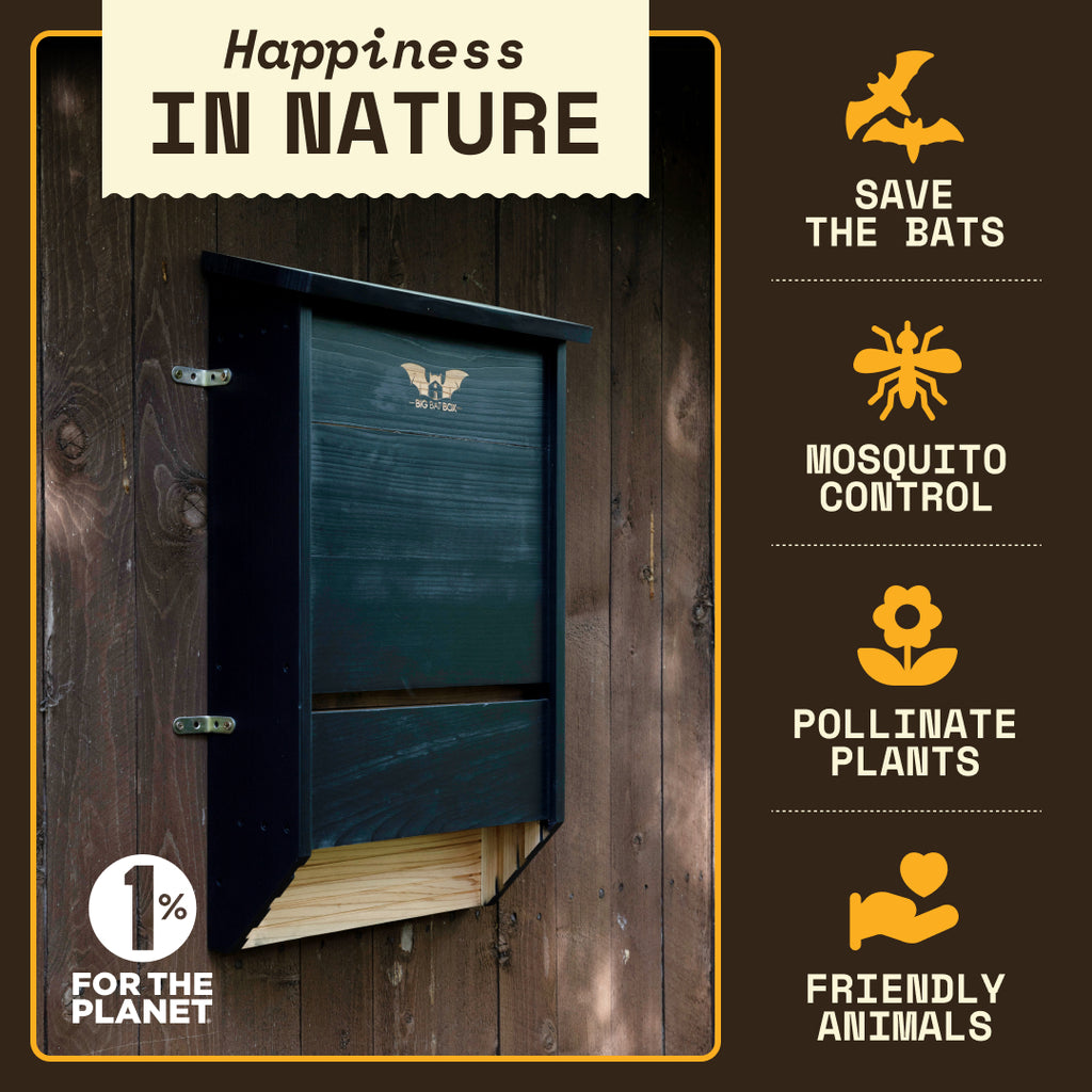 Big Bat Box -  3 chamber