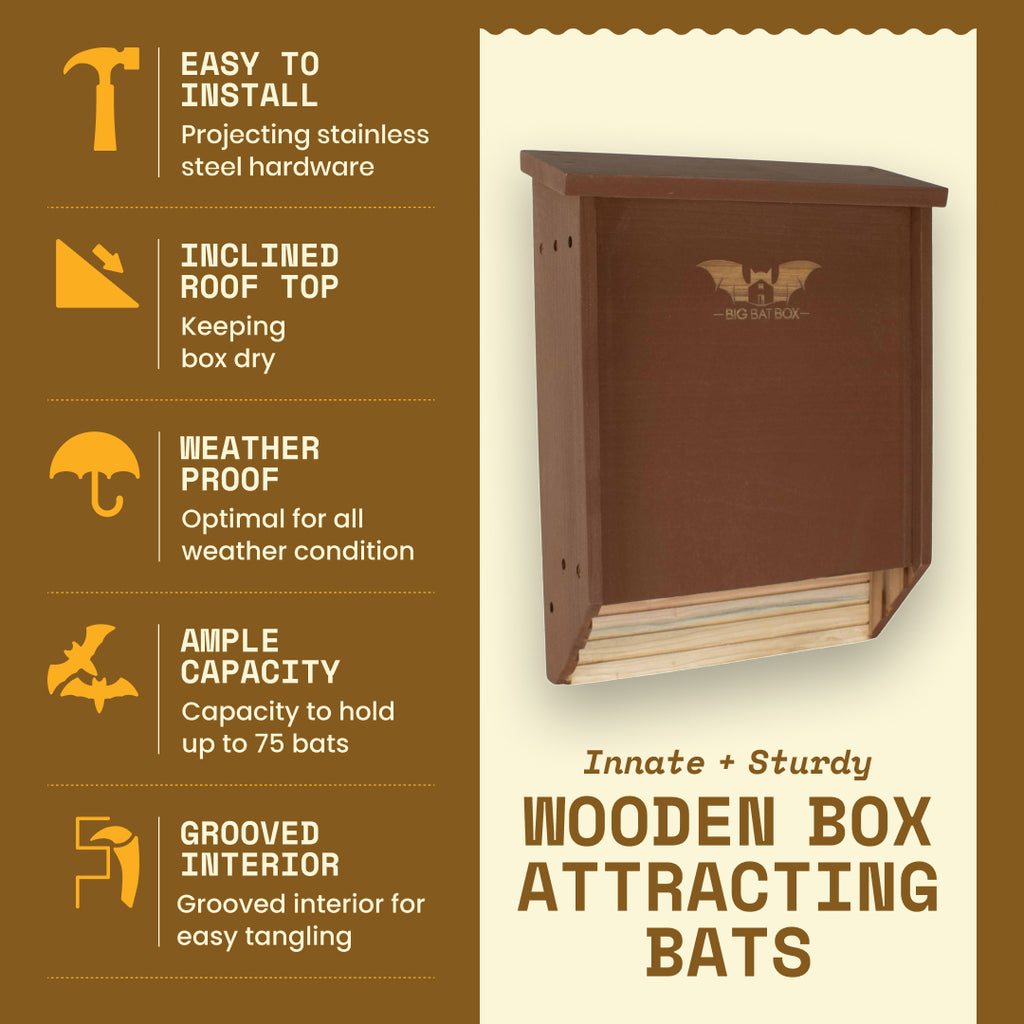 Big Bat Box -  2 chamber