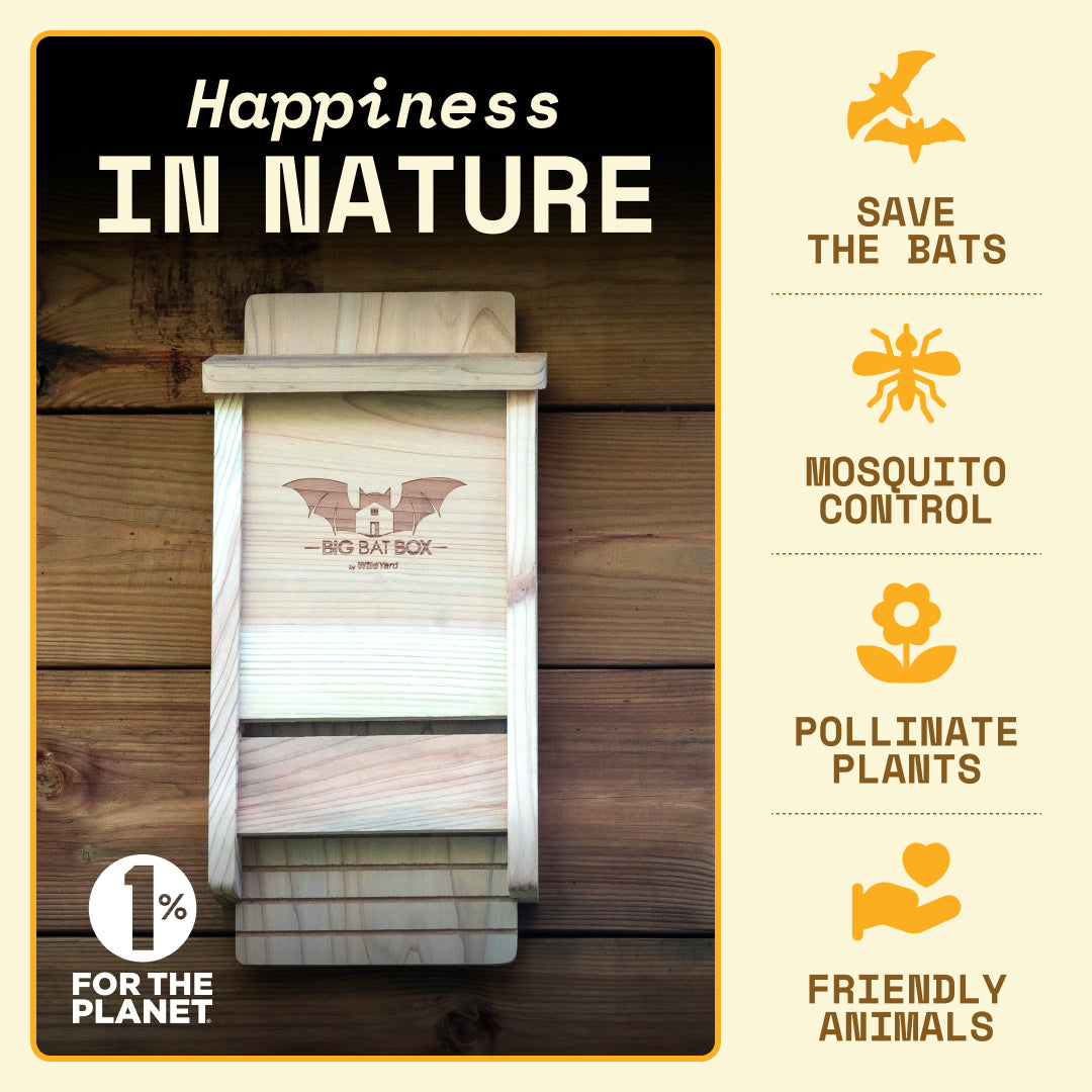 Big Bat Box -  1 chamber